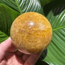 Golden healer kugle 81mm