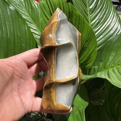 Polychrome jaspis flamme