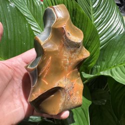 Polychrome jaspis flamme