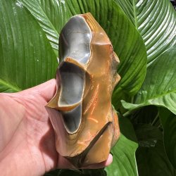 Polychrome jaspis flamme