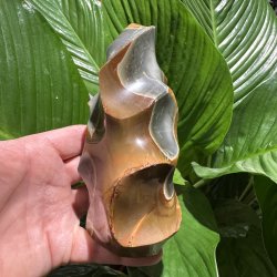 Polychrome jaspis flamme