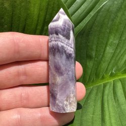 Chevron Ametyst t�rn 76mm