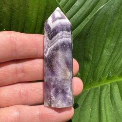 Chevron Ametyst t�rn 76mm