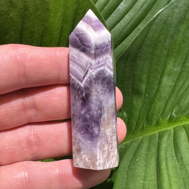 Chevron Ametyst t�rn 76mm