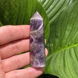 Chevron Ametyst t�rn 79mm