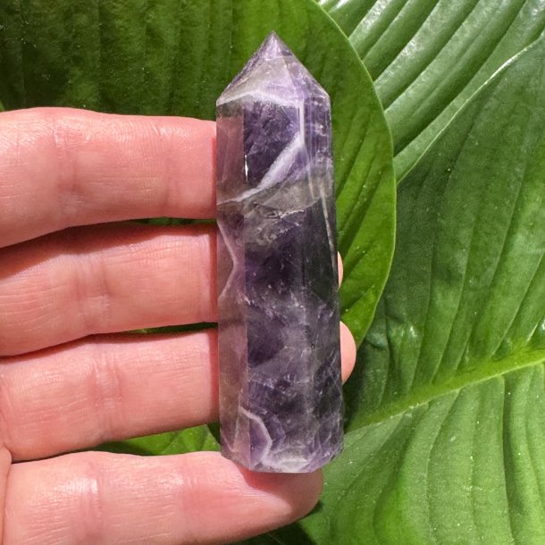 Chevron Ametyst t�rn 79mm