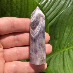 Chevron Ametyst t�rn 77mm