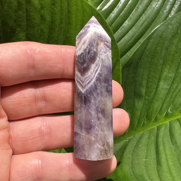 Chevron Ametyst t�rn 77mm