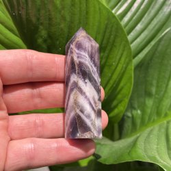 Chevron Ametyst t�rn 77mm