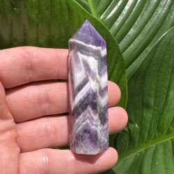 Chevron Ametyst t�rn 78mm