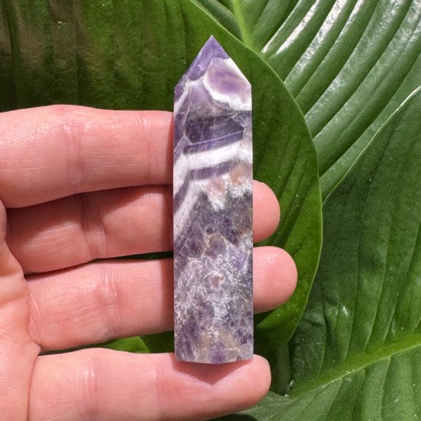 Chevron Ametyst t�rn 78mm