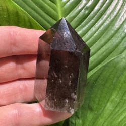 R�gkvarts t�rn 64mm