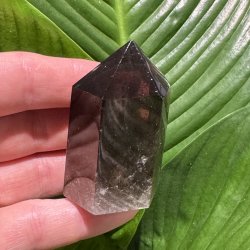 R�gkvarts t�rn 64mm