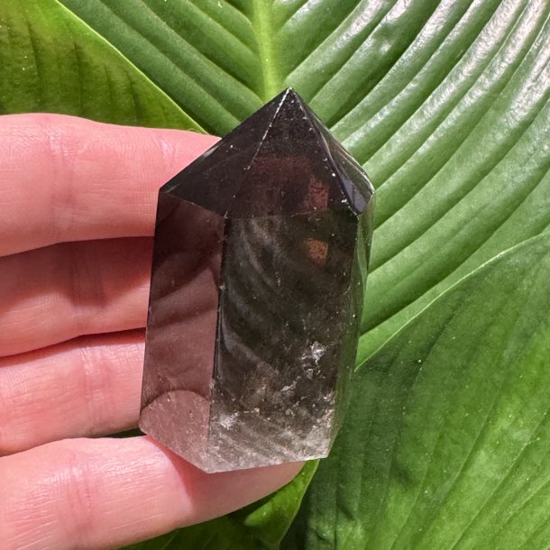 R�gkvarts t�rn 64mm