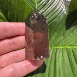 R�gkvarts t�rn 70mm