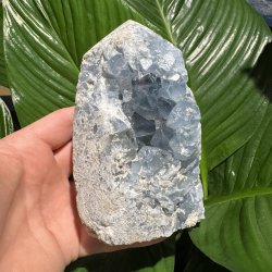 Celestit druzy t�rn