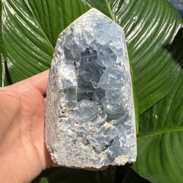 Celestit druzy t�rn