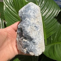 Celestit druzy t�rn