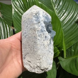 Celestit druzy t�rn