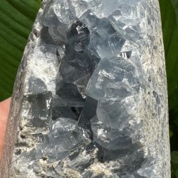 Celestit druzy t�rn