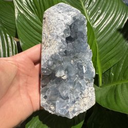 Celestit druzy t�rn