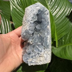 Celestit druzy t�rn