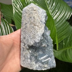 Celestit druzy t�rn