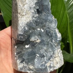 Celestit druzy t�rn