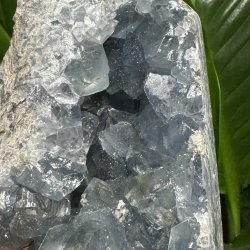 Celestit druzy t�rn