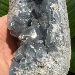 Celestit druzy t�rn