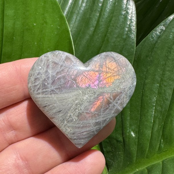 Labradorit hjerte