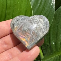 Labradorit hjerte