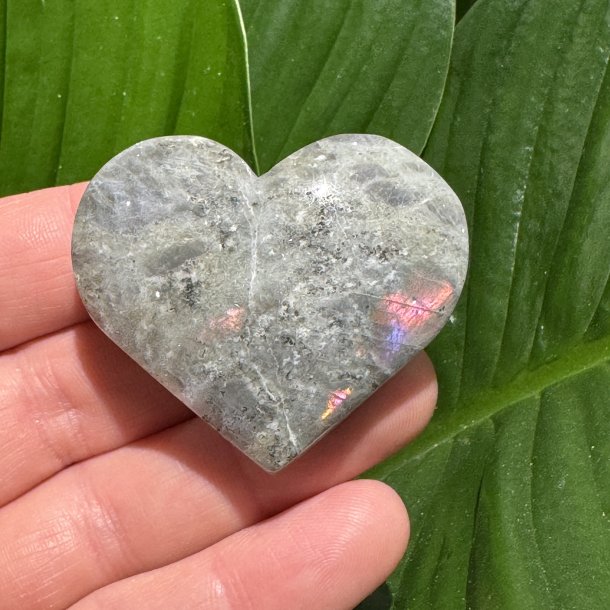 Labradorit hjerte