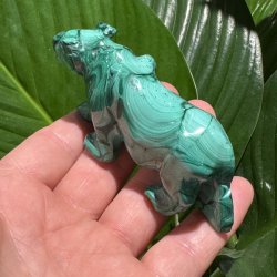 Malakit tiger