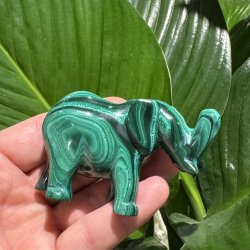 Malakit elefant
