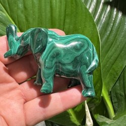 Malakit elefant