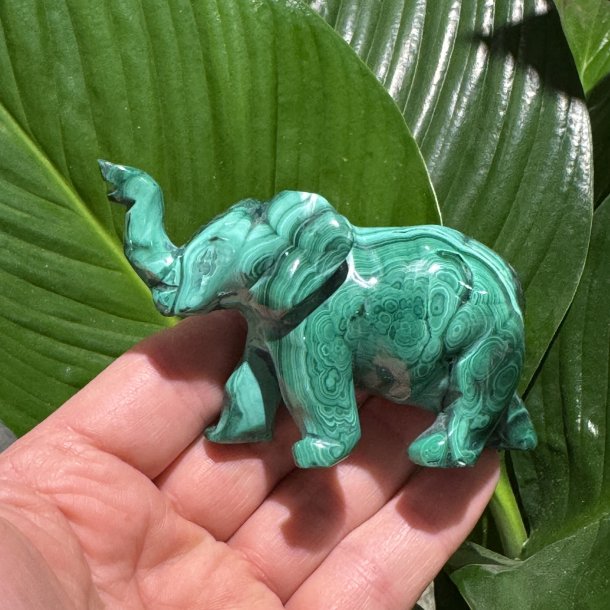 Malakit elefant
