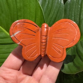 R�d Jaspis sommerfugl