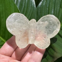 Bjergkrystal sommerfugl