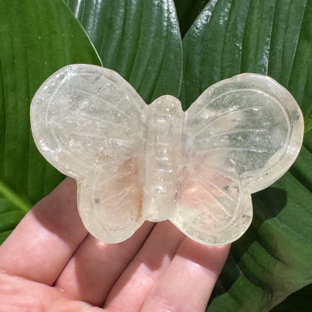 Bjergkrystal sommerfugl