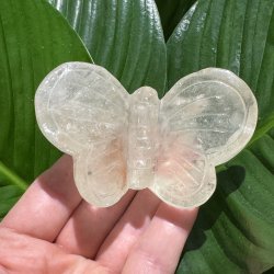 Bjergkrystal sommerfugl