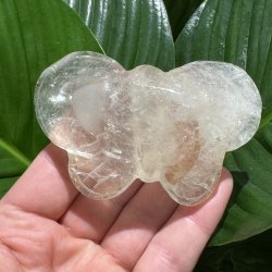 Bjergkrystal sommerfugl