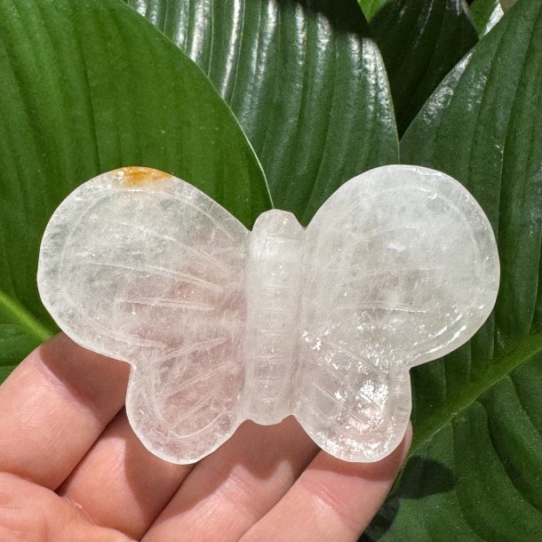 Bjergkrystal sommerfugl