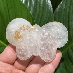 Bjergkrystal sommerfugl