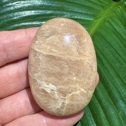 fersken m�nesten jumbo