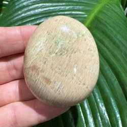 fersken m�nesten jumbo