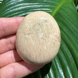 fersken m�nesten jumbo