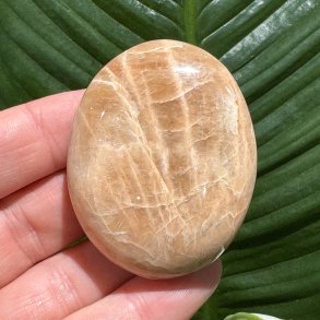 Fersken m�nesten jumbo