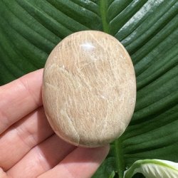 Fersken m�nesten jumbo