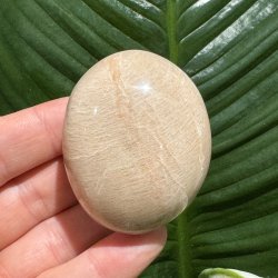 Fersken m�nesten jumbo